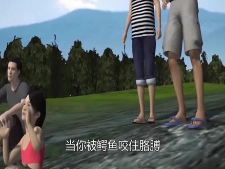 鳄鱼残杀同类,大鳄鱼吃小鳄鱼,鳄鱼的死亡翻滚到底有多厉害。 #野生动物 #科普 #鳄鱼