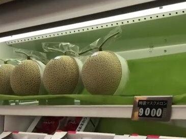 日本是在计谋什么,在山东租了1500亩地为何晾了五年不闻不问?#农场