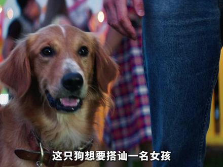 四世轮回一生念,狗狗的爱从来都是为你奔赴 #了不起的精讲团 #青年创作者成长计划 #电影解说