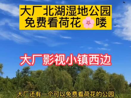 大厂北湖湿地公园免费看荷花🌸喽
明天七夕节快点带上你的那个她来浪漫吧#大厂北湖湿地公园 #大厂好玩的地方 #大厂七夕去哪 #大厂爱琳探店 #大厂爱琳吃喝玩乐