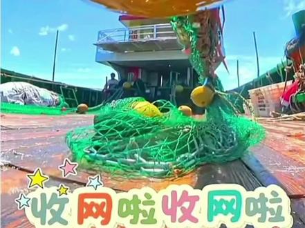 5月24日福建码头海鲜行情! #海鲜原产地 #海鲜批发市场 #野生海鲜 #三农流量扶持计划 #海鲜