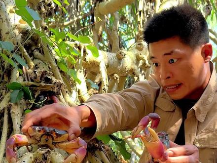 野外生存 合集混剪版#户外美食 #户外 #野外生存 #赶海 #原创作品