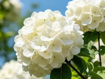 今天是2026年5月4日,星期一,农历三月十八,五四青年节。1919年这一天,北平学生走上街头,高呼“外争主权,内惩国贼”,掀起了一场伟大的爱国运动。1939年,这一天被正式定为中国青年节。“爱国、进步、民主、科学”的五四精神,传承了一代又一代。青春不是年纪,是心里那团火。愿你眼里有光,脚下有路,心中有梦。节日快乐!#五四青年节 #传统文化 #日历 #生活