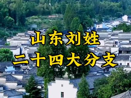山东刘氏二十四分支根脉传承#刘氏家族#历史#文化