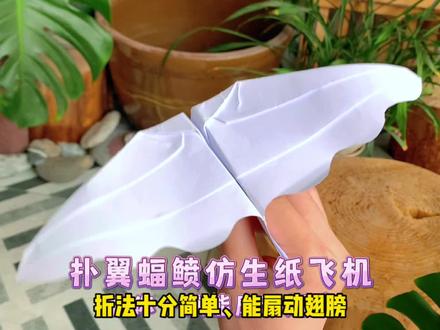 教你一款能扇动翅膀、造型与魔鬼鱼很像的纸飞机——扑翼蝠鲼仿生纸飞机,折法还十分简单,很值得一试哟!#纸飞机 #折纸 #亲子手工 #折纸教程