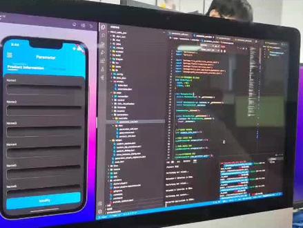 国外客户指定用 #flutter app开发框架,代码规范过关😊 #flutter开发 #app开发 #原生app开发 #uniapp开发