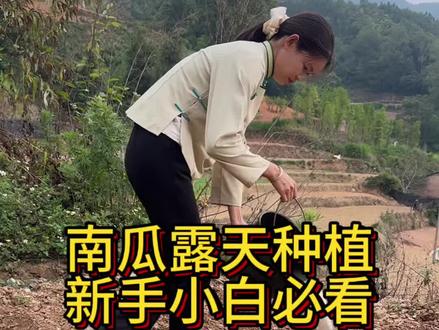 南瓜怎么简单播种出苗快#真实生活分享计划 #黄瓜 #新农人计划 #黄瓜种植 #蔬菜种植