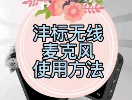 沣标无线麦克风使用方法#摄影器材 #相机配件 #索尼 #摄影设备推荐 #vlog #vlog设备 #沣标 #无线话筒 #小蜜蜂