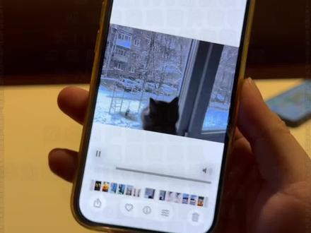 怎么把视频转成实况live动图教程来啦 视频怎么变成实况照片
实况live动态壁纸
小米视频转实况动图
一键生成gif动图
静态照片变live动图软件
视频转live图免费
实况怎么做成live图
一键生成live动图软件
视频转glf
长live实况图怎么做大疆
抖音图片转实况
实况安卓制作教程
动图带货制作教程
live动图制作工具
静态转动态
超火的实况动图制作教程
动态壁纸转实况动图教程
视频转live实况图
live实况图教程
苹果视频怎么变成实况
实况怎么发30秒以上的视频教程
live实况怎么做成视频
视频转实况动图照片教程来啦
实况图带货
长实况动图制作教程
剪映转live教程入口
聊天实况动图制作教程
安卓转live实况
抖音动图作品怎么做
实况live动图素材
动态图转换工具
实况动图生成方法
视频转实况照片教程
长live实况图制作教程
苹果用户视频转实况教程
实况照片怎么做成视频
动态壁纸实况
视频转动图教程
安卓视频转live实况动图教程
这才是实况的正确打开方式
如何将自己喜欢的长视频制作成实况照片教程来了
live动图制作
视频转图片
实况live
动图带货送制作教程
抖音静态图变实况
怎么把图片变成实况图片
安卓用户视频转实况教程
视频转实况
华为视频转live实况动图教程来啦
长实况怎么制作
视频转live教程
长live图
实况live动图制作
静态图片转成实况live动图教程来啦
图片转实况
动图带货视频如何制作
实况照片设为live图教程
视频转动图
动图视频制作教程
苹果视频转实况动图
华为视频转成实况live动图
视频转live实况教程
live实况动图教程
视频转实况教程
视频转live图
怎么把实况视频弄长一点教程
怎么把视频变成实况照片
视频转实况照片
视频卡图文制作教程
剪映视频转实况
安卓视频转实况动图
live动图教程
#实况照片 #视频转实况照片教程 #实况live图 #剪映 #人类对剪映的开发不到百分之一