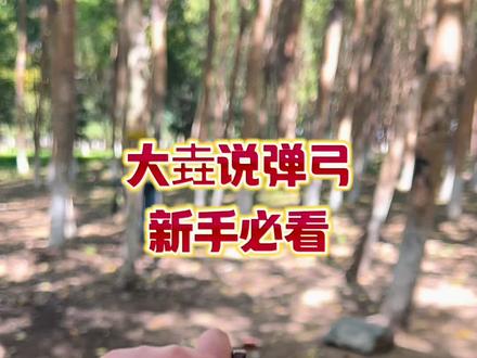 #弹弓 #弹弓爱好者 #弹弓户外 #弹弓高手 #弹弓教程