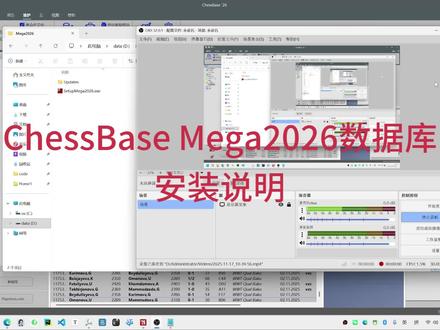 Mega2026数据库安装注意