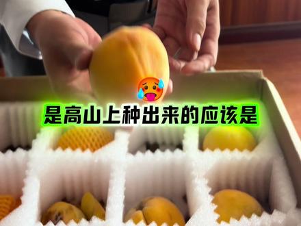 你们要的奉贤黄桃协会后续来啦!听听秘书长怎么说! #奉贤黄桃协会#大奋哥#奉贤周公子#打假