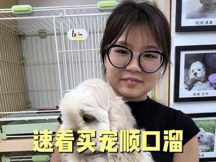 新手养宠必看#新手养宠攻略 #买狗避坑指南 #萌宠知识科普 #宠物博主推荐