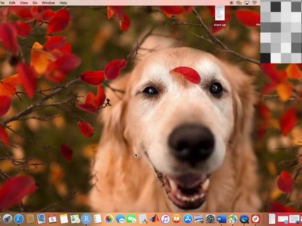mac苹果电脑远程连接window10电脑