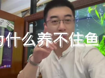 选择最重要~👊
#鱼缸 #养鱼人 #热爱工作热爱生活 #水族馆 #创作者扶持计划 #养鱼人