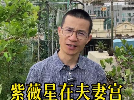 紫薇星在夫妻宫代表什么意思? #五行相生原理 #紫微知识分享 #配偶星 #紫薇斗数夫妻宫