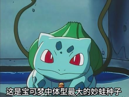 因为不能进化,惨遭遗弃的妙蛙种子!#童年动漫 #精灵宝可梦 #神奇宝贝