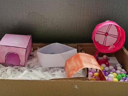 自制模拟仓鼠小窝#简单小手工
#仓鼠🐹 #手工diy