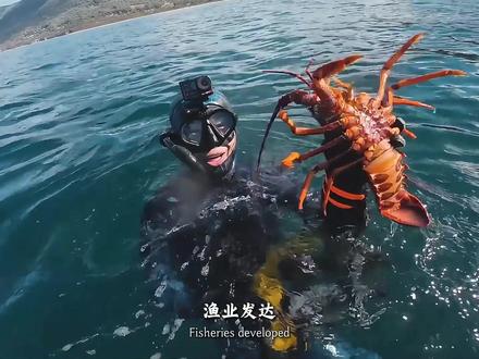 去外国买岛迁移,把台湾还给大陆,真的可行吗? #台湾#中国#地理#塔斯马尼亚岛#硬核深度计划