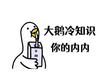 从今天起,我要实现内裤自由!#幸棉 #幸棉日抛裤