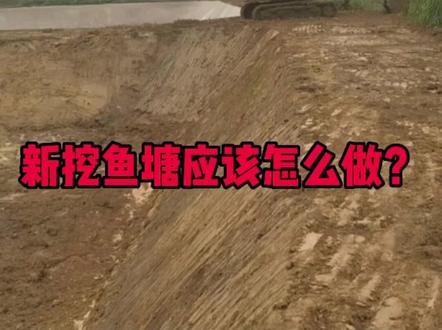 新挖的鱼塘应该怎么做呢?#水产养殖 #水产养殖技术 #四大家鱼养殖 #鱼虾蟹养殖