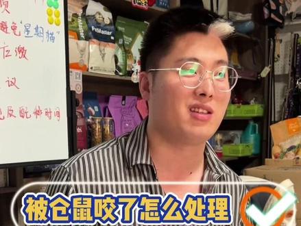 孩子被仓鼠咬了一下,有破皮,没出🩸,可以怎么处理呢?#宠物知识 #科学养宠攻略 #宠物医生 #抖音宠物医生 #宠物医院的那些事