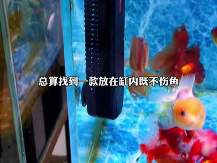 鱼缸杀菌灯 放在鱼缸也不会破坏硝化细菌和小鱼是#鱼缸杀菌灯#沃韦朗#鱼缸杀菌#养鱼人#养鱼日记
