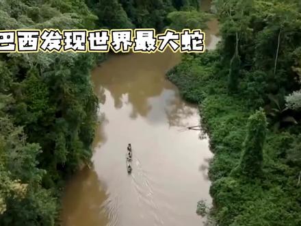 亚马逊发现重约200公斤巨蛇