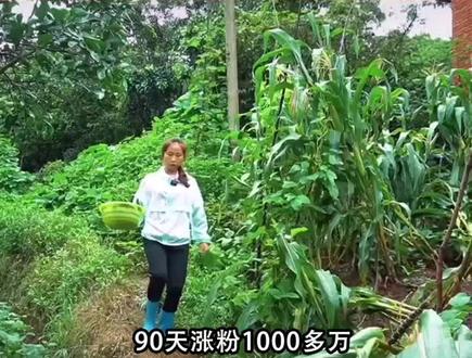 #蜀中桃子姐 从普通农妇晋级美食网红,因为真实!