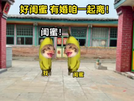 《圈圈闺蜜》第三集
#猫meme素材 #好闺蜜