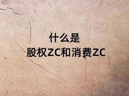 什么是股权ZC和消费ZC?#股权 #实体店 #连锁