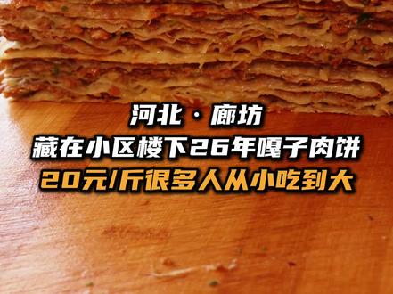 开车300公里!从石家庄到廊坊吃,藏在楼下26年嘎子肉饼! 20一斤,很多人从小吃到大!真的太香了!欢迎推荐你家乡的乡野神店!#廊坊 #肉饼 #20元吃垮石家庄 #乡野神店 #垮哥带你吃遍河北