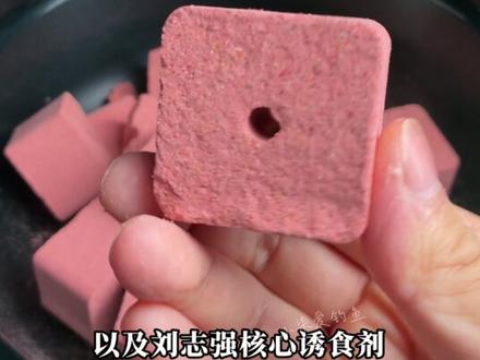 刘志强新品小芳鲢鳙方块饵料,专为鲢鳙喜腥习臭的觅食习性研发,味型浓郁独特,是大个体花白鲢无法抗拒的味道#鲢鳙方块饵 #方块饵钓鲢鳙 #浮钓鲢鳙 #海竿钓鲢鳙