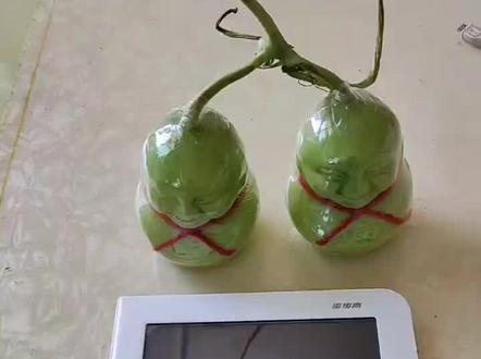 步步高家教机改普通安卓,您想的这里都有