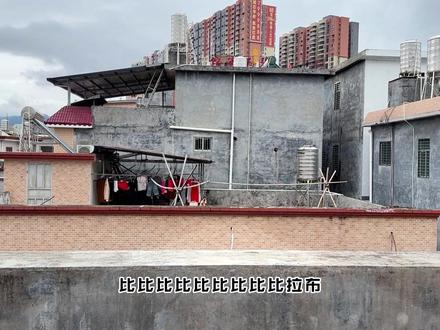 我的刀盾和比比拉布被当成疯狂动物了! #我的刀盾 #刀盾狗 #比比拉布 #伦堡沙 #爱动玩具