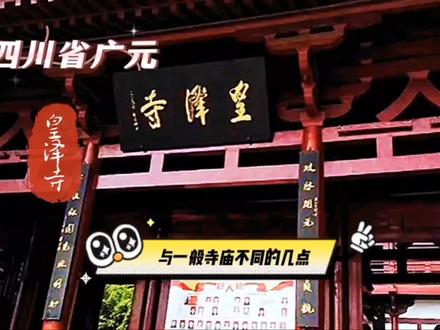 四川广元皇泽寺,有名景点,我旅游后,觉得与一般寺庙有几大不同 #皇泽寺景区