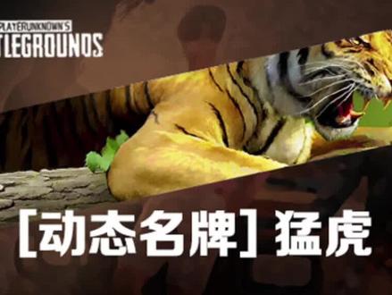 PUBG猛虎动态名牌领取教程 赶紧去老鼠台领取#绝地求生 #steam游戏 #pubg