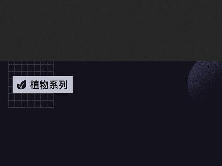 松柏——象征着坚强不屈的品格#松树
