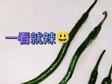 写生个小辣椒#画画 #国画 #传统文化 #写意花鸟