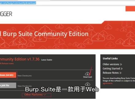 Burpsuite#电脑知识 #每天一起涨知识