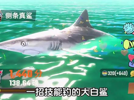 一招教你钓大白鲨#欢乐钓鱼大师 #春天的快乐是钓鱼给的