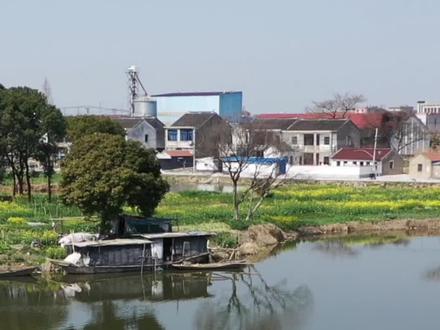 小肉包的粉丝推荐了个50块的天塘,不知道靠不靠谱?#dou是钓鱼人 #钓鱼 #钓鱼人