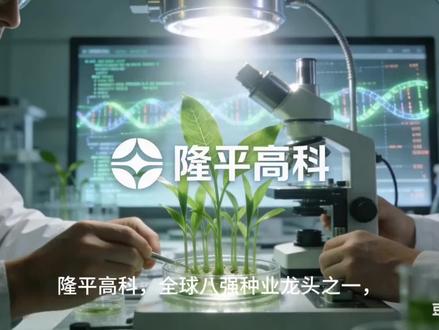 隆平高科:以中国种芯,育全球丰收