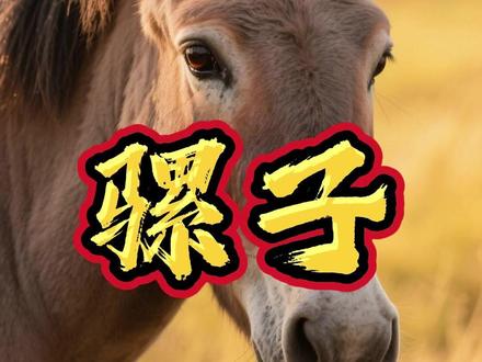 骡子是马和驴杂交的后代#冷知识