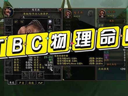 魔兽世界TBC物理命中#魔兽世界怀旧服 #魔兽世界燃烧的远征