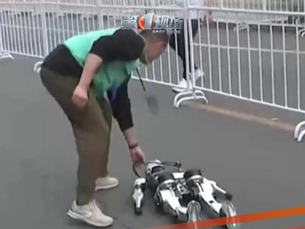 首届人形机器人半马,摔倒是为了更好的前行,加油机器人!加油中国科技!#人形机器人 #马拉松 #中国科技 #抖音dou热门 @抖音小助手 #光从东方来