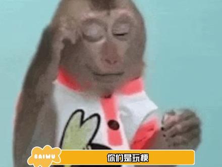 #马喽的命也是命 你们只是玩梗,我是真马喽。 #娱乐巨咖站