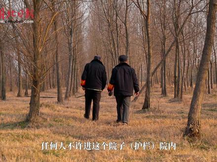 《武汉的“候鸟天堂”,由这群平均年龄超过50岁的大叔守候》(上)无人机拍鸟会对鸟类造成伤害,绝对禁止!