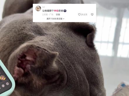 别催了!在学了在学了🥹#我是动画的 #神偷奶爸 #养狗就是用来玩的 #会叫妈妈的money