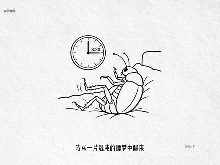 《变形记》如果你没有价值了,谁还会真的爱你? #手翻书 #好书分享 #读书 #创作者伙伴计划 #变形记